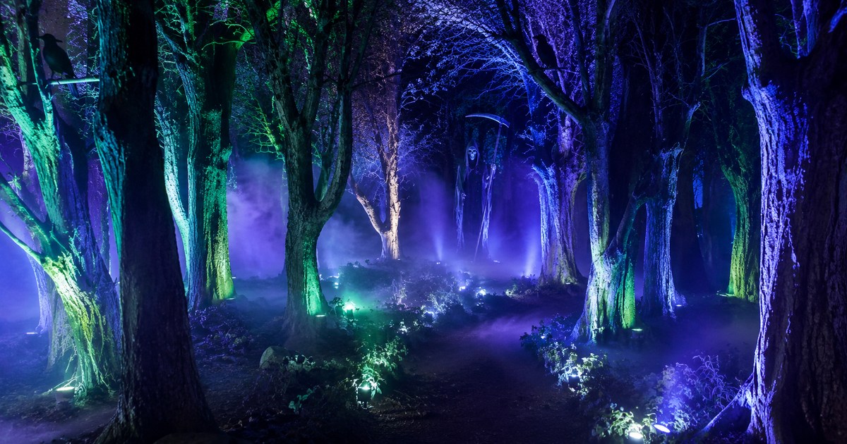 How to Build a Haunted Forest Scene for Halloween: Trees, Fog, and Lurking Creatures